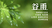 【二十四節(jié)氣灸】谷雨時節(jié)，用艾為您的健康加上一道保險！