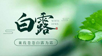 【二十四節(jié)氣灸】白露涼爽，養(yǎng)心肝脾胃、滋陰潤肺是關(guān)鍵！